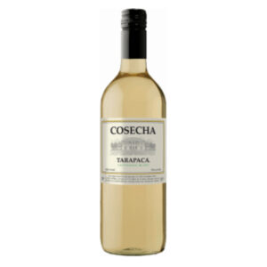 Vinho Branco Tarapacá Cosecha Sauvignon Blanc 2022
